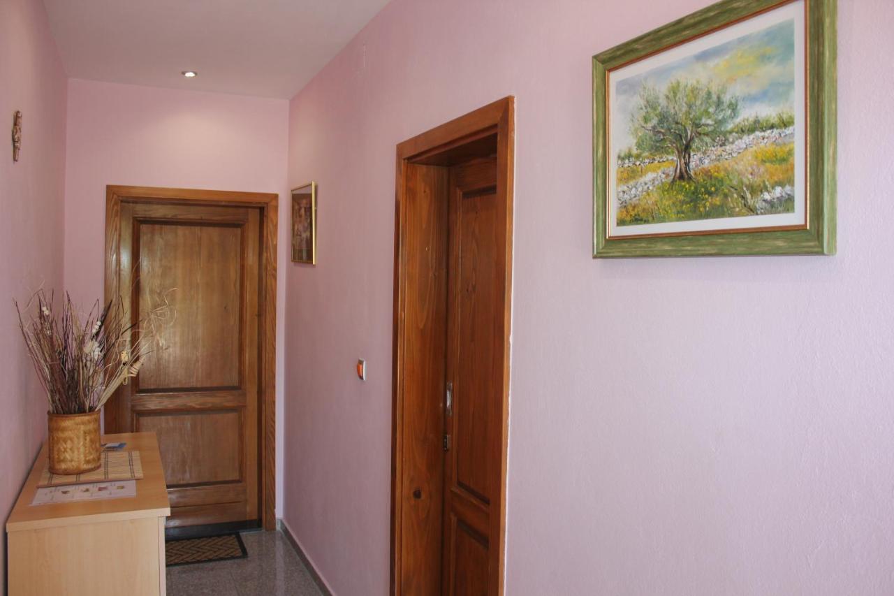 Guesthouse San Antonio بلوتشي المظهر الخارجي الصورة